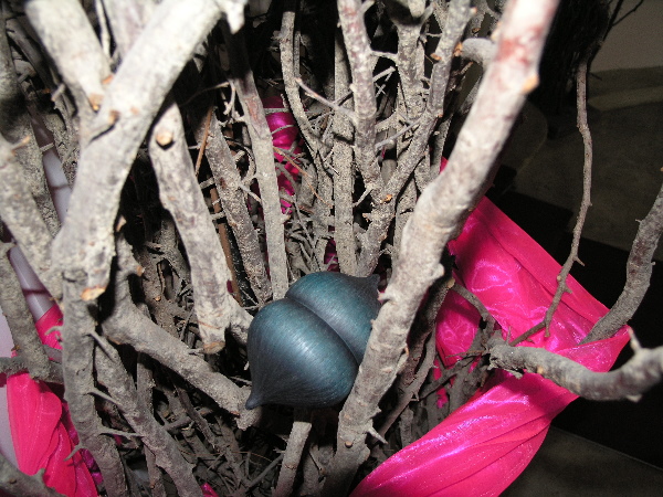 seed pod in the spring flowers